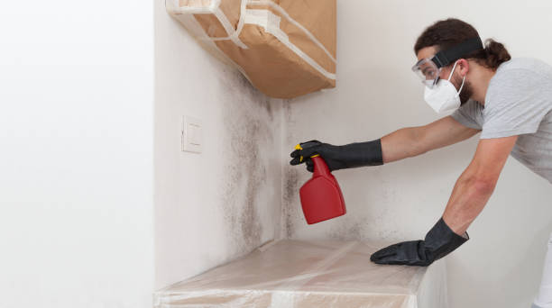 Professional Mold Inspection And Testing technician working in Edgewater, NJ